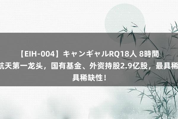 【EIH-004】キャンギャルRQ18人 8時間 买卖航天第一龙头，国有基金、外资持股2.9亿股，最具稀缺性！