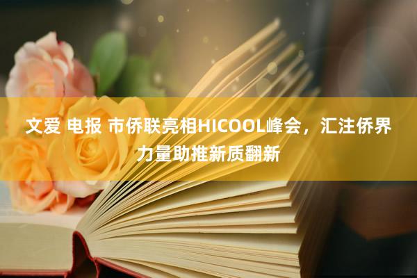 文爱 电报 市侨联亮相HICOOL峰会，汇注侨界力量助推新质翻新