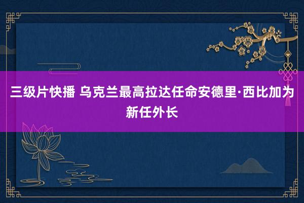 三级片快播 乌克兰最高拉达任命安德里·西比加为新任外长