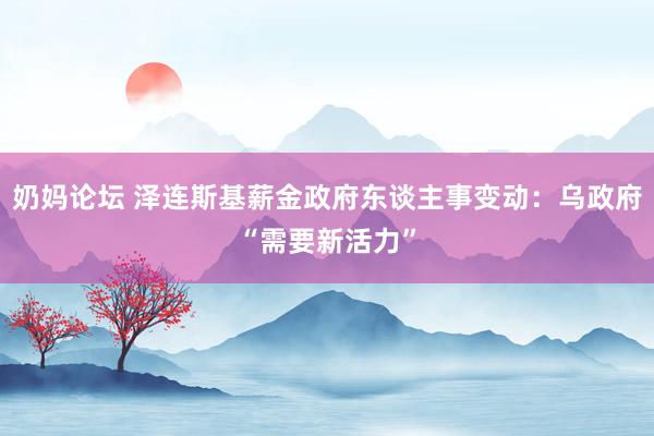 奶妈论坛 泽连斯基薪金政府东谈主事变动：乌政府“需要新活力”