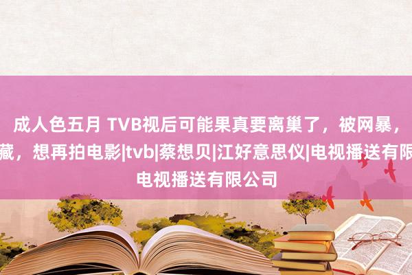 成人色五月 TVB视后可能果真要离巢了，被网暴，被雪藏，想再拍电影|tvb|蔡想贝|江好意思仪|电视播送有限公司