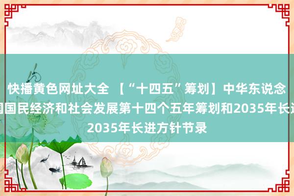 快播黄色网址大全 【“十四五”筹划】中华东说念主民共和国国民经济和社会发展第十四个五年筹划和2035年长进方针节录