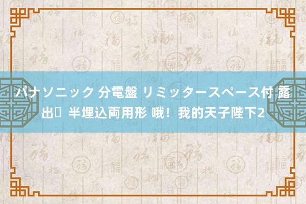 パナソニック 分電盤 リミッタースペース付 露出・半埋込両用形 哦！我的天子陛下2