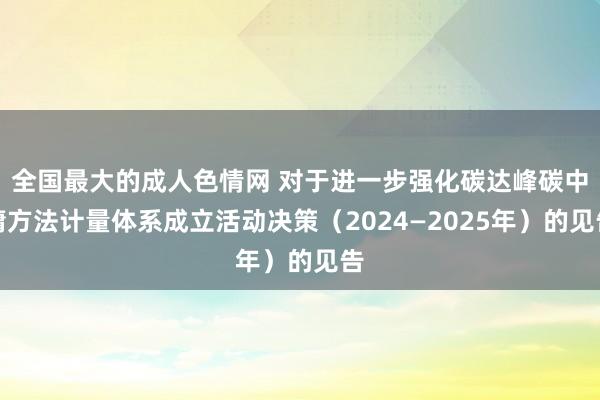 全国最大的成人色情网 对于进一步强化碳达峰碳中庸方法计量体系成立活动决策（2024—2025年）的见告